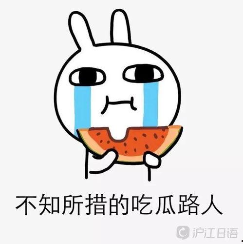 娱乐吃瓜酱苏格兰,揭秘苏格兰的神秘魅力